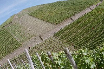 Guter Stoff von der Ahr